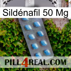 Sildénafil 50 Mg viagra3